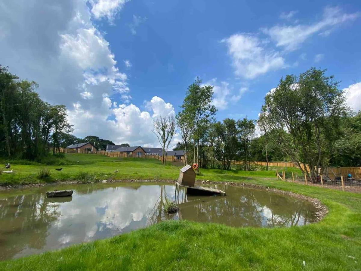 Cedar Cottage تينبي المظهر الخارجي الصورة